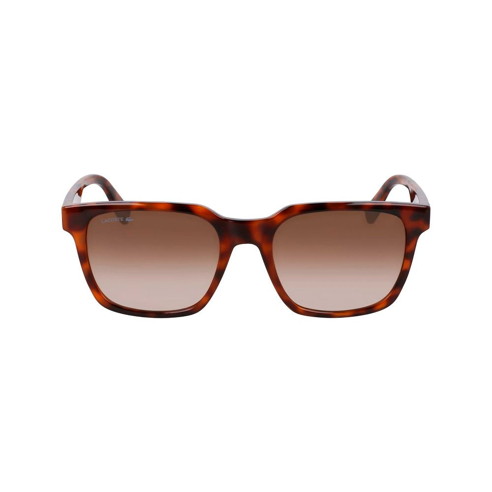 Lacoste Brown Injected Sunglasses