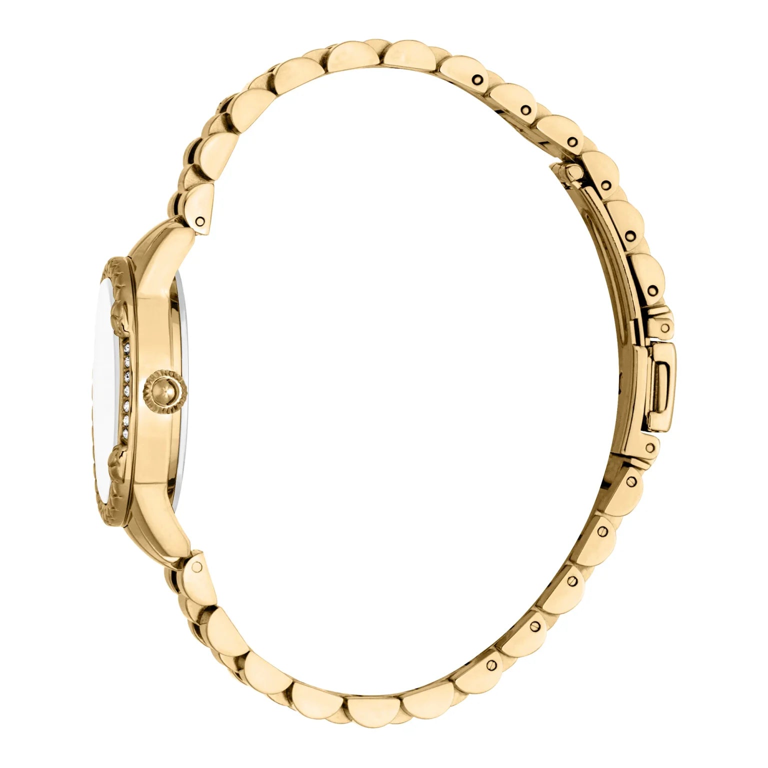 Дамски часовник Women’s watch Just Cavalli Animalier Fiorenza Snake
JC1L310M0065 Yellow Gold MOP