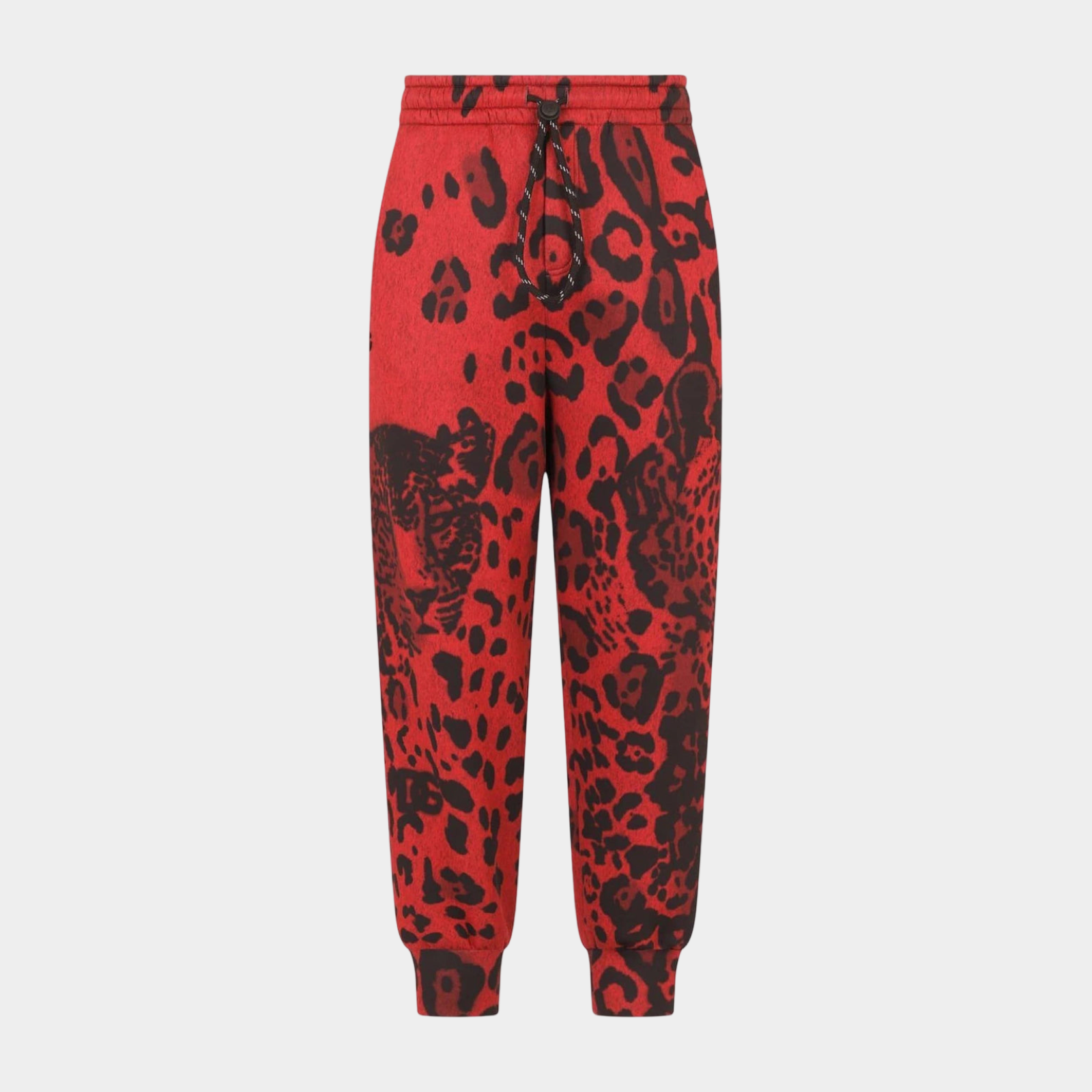 Dolce & Gabbana Leopard Print Jogger Pants GWWQAZ FHM13 HRTYN Front View