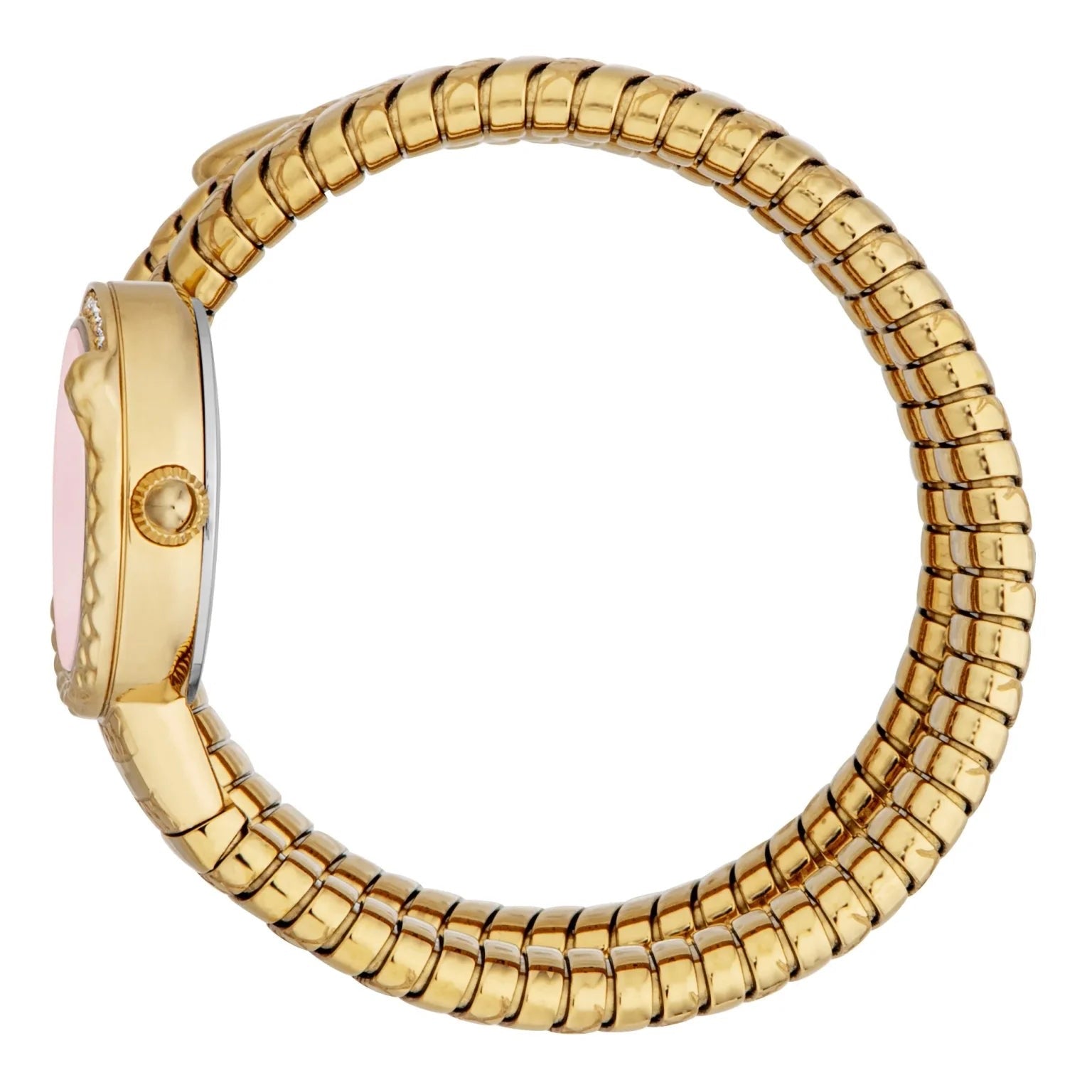 Just Cavalli Watch
