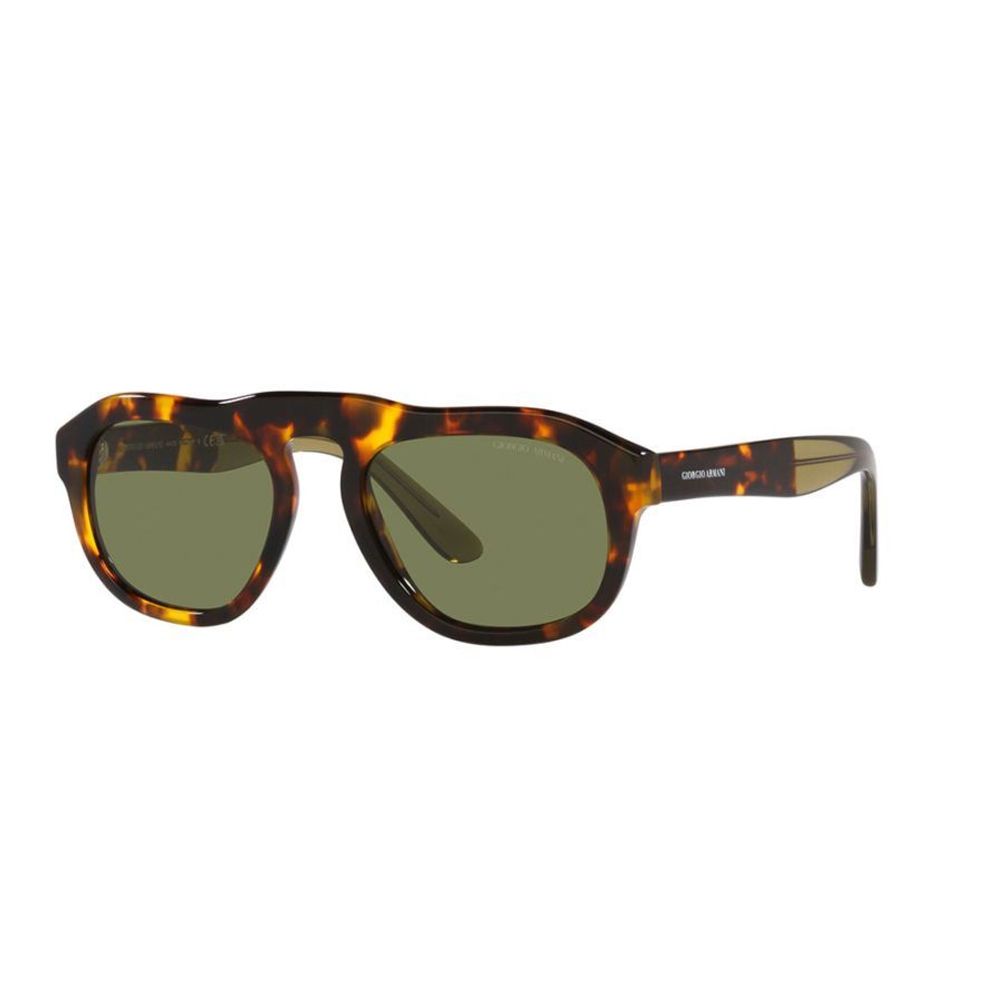Мъжки слънчеви очила Men’s sunglasses Giorgio Armani AR8173-50922A Brown