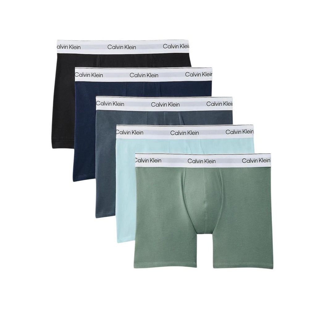 Мъжки боксерки Calvin Klein Men Boxers LV00NB4395 40A Front View
