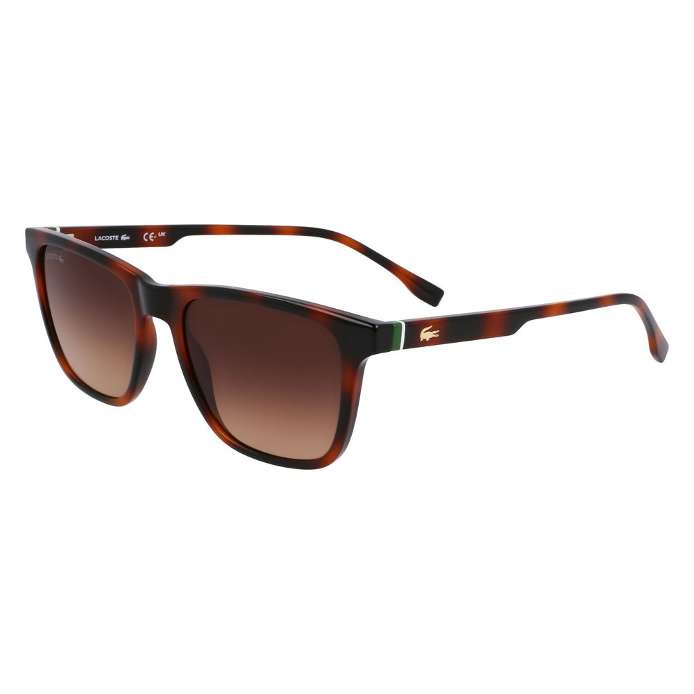 Lacoste Brown Injected Sunglasses