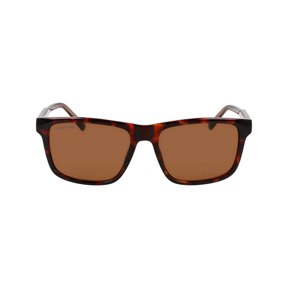 Lacoste Brown Injected Sunglasses