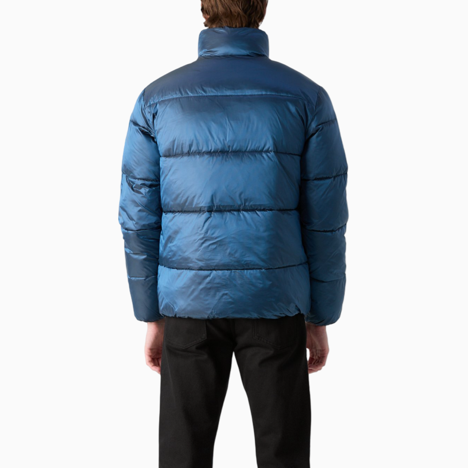 Мъжко синьо зимно яке Calvin Klein Jeans Men Jacket J30J326097 Back View