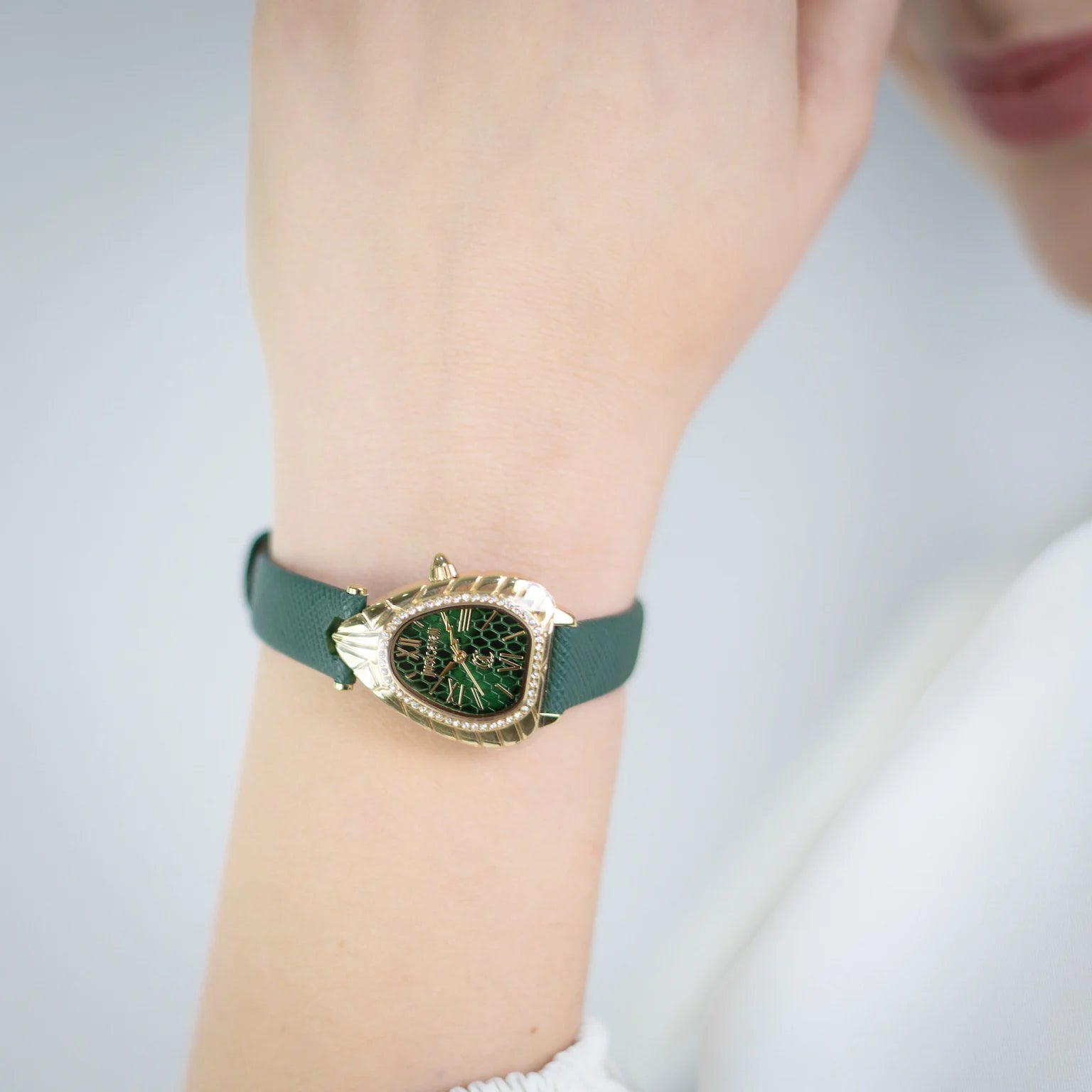Дамски часовник Women’s watch Just Cavalli Animalier Perla
JC1L366L0025 Leather Green YG