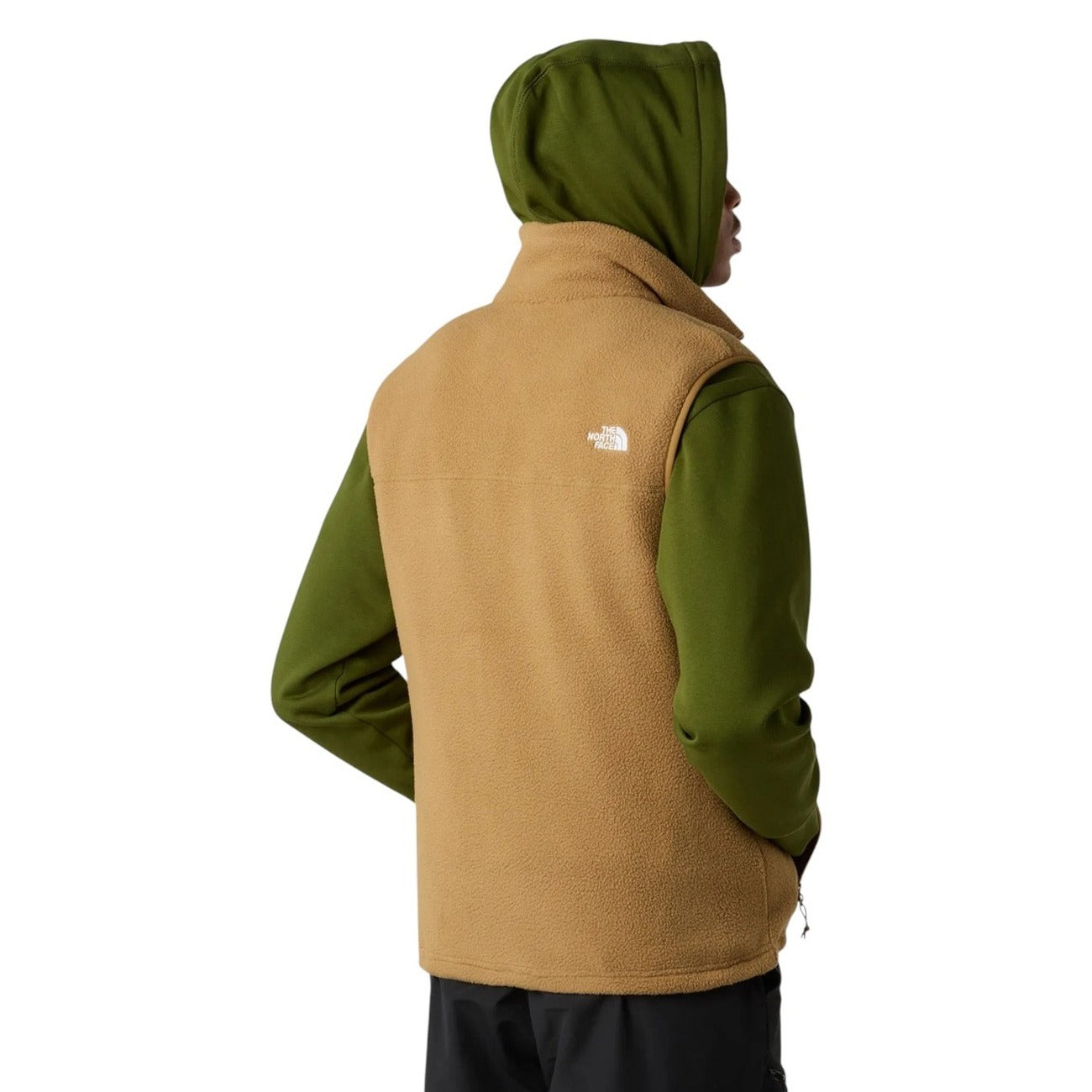 Мъжки елек The North Face Men Vest NF0A8B651731 Back View