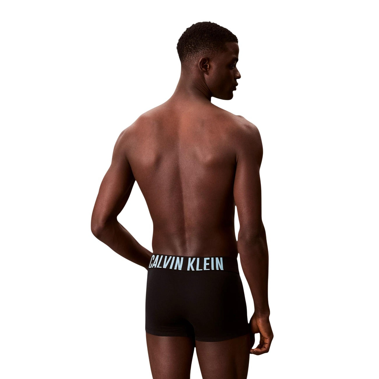 Мъжки боксерки Calvin Klein Men 3-pack Boxers 000NB3608A 54L Back View